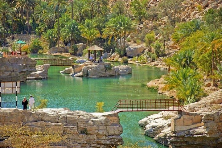 Wahiba Sands Desert Safari & Wadi Bani Khalid Day Trip from Muscat photo 4