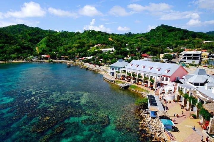 Roatán Jungle Top Wildlife Eco-Park Tour — See Sloths, Capuchins & Macaws Up Close photo 4