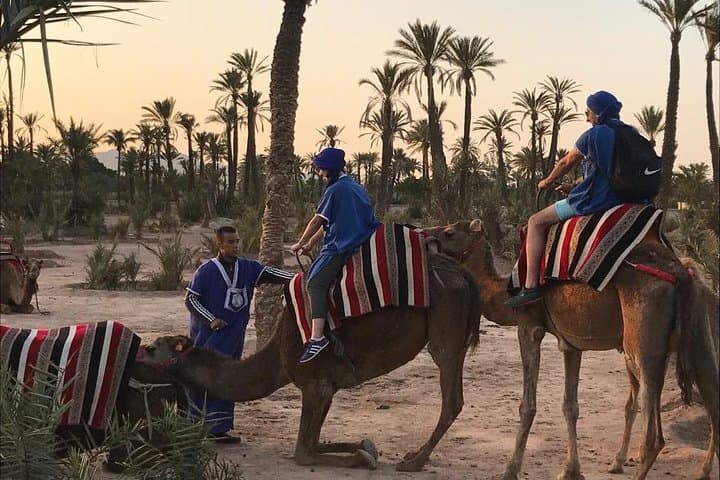 Sunset Camel Ride in Marrakech Palm Grove — Evening Camel Trek & Mint Tea Experience photo 3