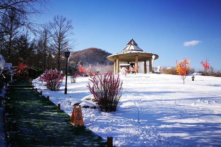 Yingjie Hot Spring Day Trip from Harbin — Private Bin County Hot Springs & Hot Pot photo 5