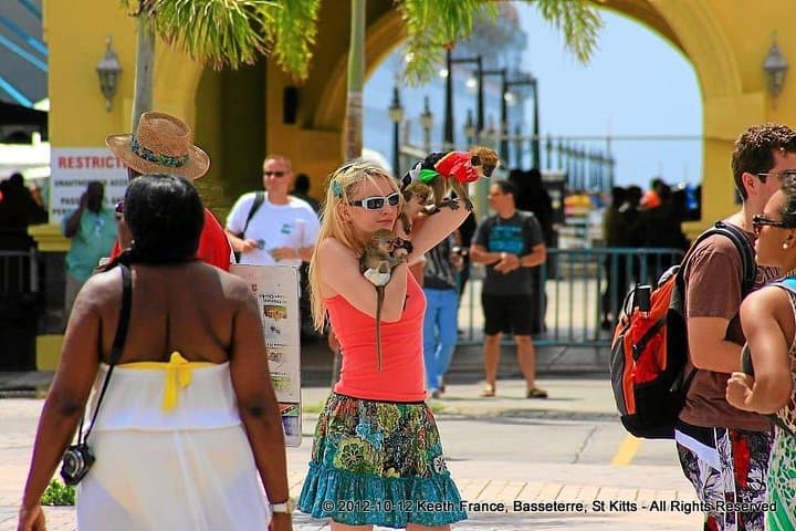 Full Island Panoramic Tour of St Kitts — Brimstone Hill, Black Rocks & Romney Manor photo 2