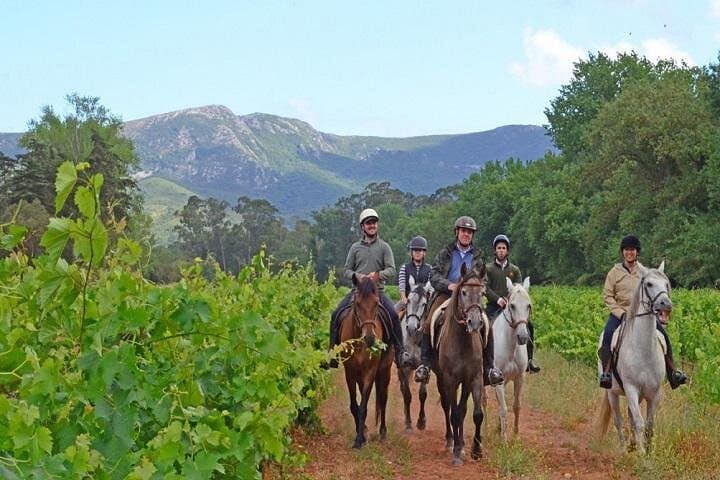 Ride the Louro Trail: 5-Hour Horseback Journey Through Arrábida Natural Park