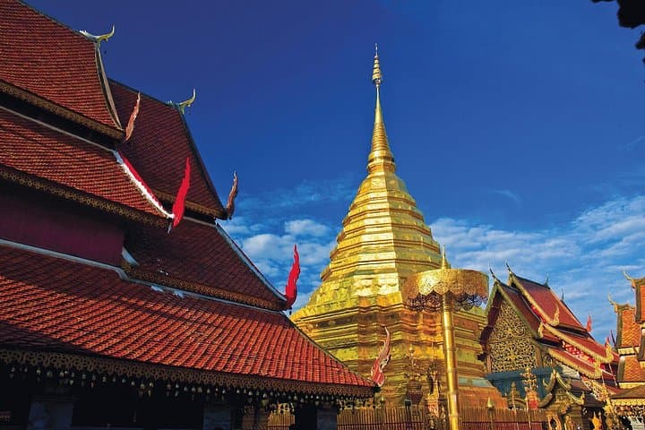 Chiang Mai Temples Tour: Doi Suthep, Wat Chedi Luang & Suan Dok Highlights photo 6