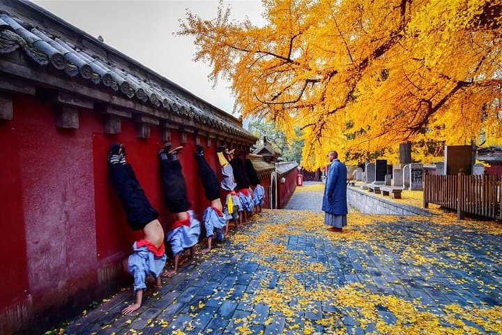 Luoyang Longmen and Shaolin Temple Day Trip from Xi'an by High-Speed Train photo 6