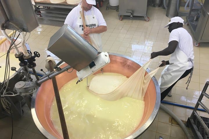 Biking and Tasting Parma: Cheese-Factory Tour and Countryside Ride photo 2