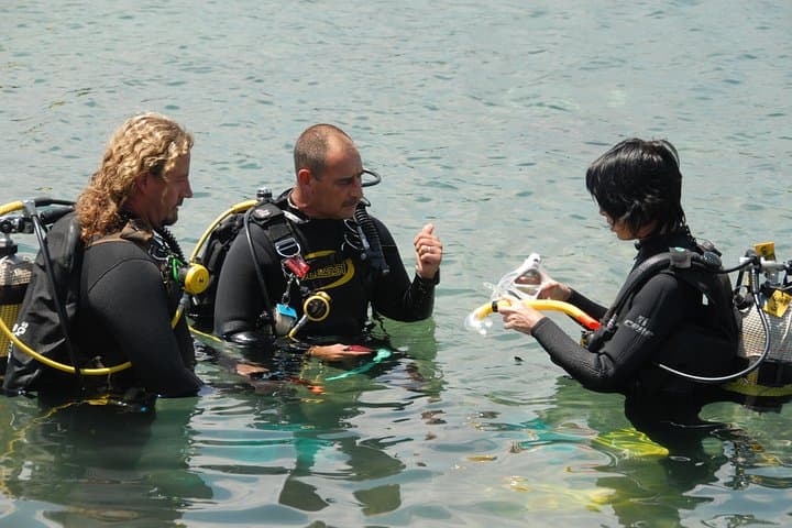 Beginner Scuba Diving Experience in Puerto Rico, Gran Canaria — Guided Reef Dive photo 6