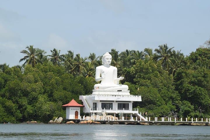 Bentota River Safari: Mangrove Wildlife Encounter in Southern Sri Lanka photo 3