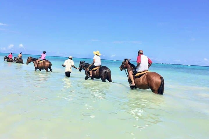 Blue Hole & Horseback Adventure from Ocho Rios: Secret Falls, Swim, Ride, and Local Flavors
