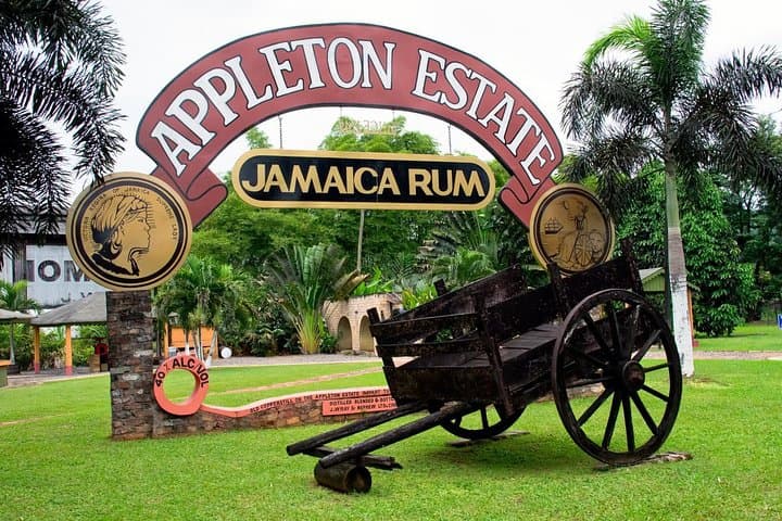 Private Appleton Estate, YS Falls & Black River Safari from Montego Bay photo 2