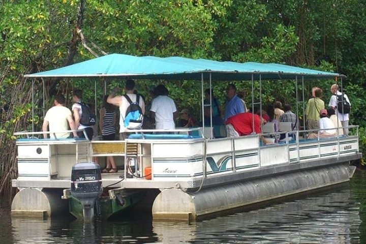 Private Appleton Estate, YS Falls & Black River Safari from Montego Bay photo 3