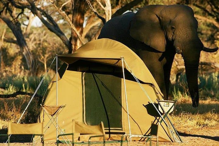 2-Day Camping Safari in Chobe National Park from Victoria Falls photo 3