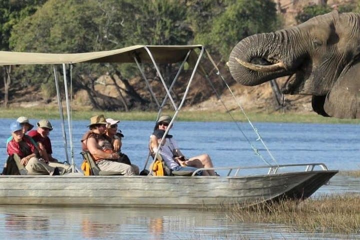 Chobe Extended Day Trip from Victoria Falls: Full-Day Safari & Sunset River Cruise photo 3