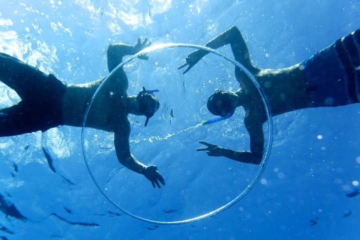 Cozumel Catamaran Snorkel to El Cielo, Palancar & El Cielito (Lunch Included) photo 3