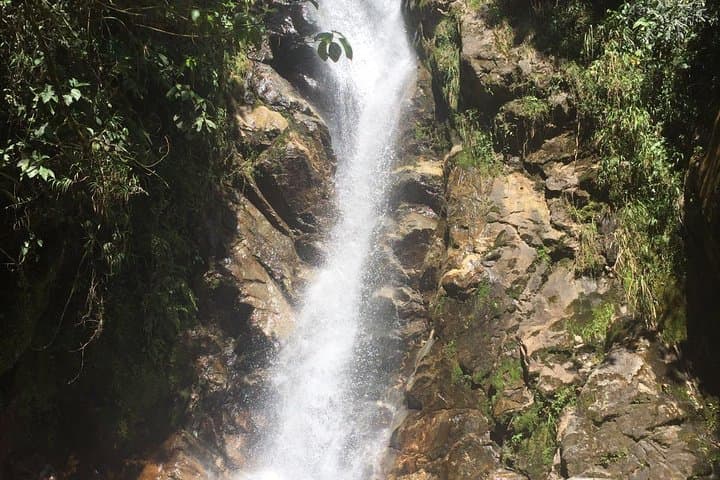 La Miel Natural Reserve Hike — Private Half-Day Trip from Medellín photo 3
