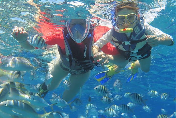 Sosúa Bay Snorkeling Tour from Puerto Plata: Coral Reefs, Turtles & Beach Time photo 4
