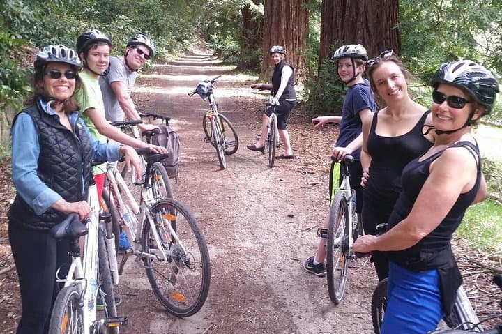 Full-Day Tuscan Countryside Bike Tour: Wine, Hills & Olive Groves photo 5