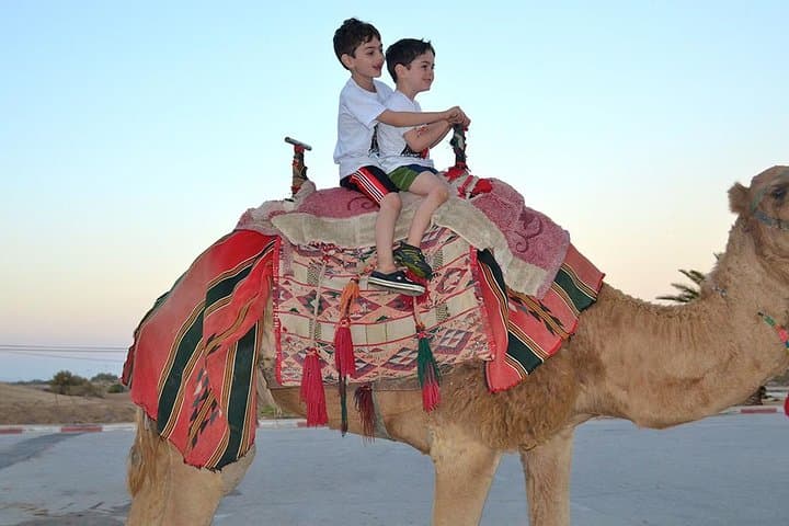 Morning Dubai Desert Safari: Dune Bashing, Camel Ride & Sandboarding in Lahbab photo 5