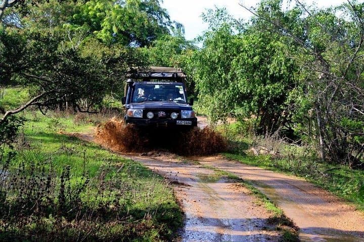 Udawalawe National Park Safari from Colombo — Elephant Encounters & Birdlife photo 3