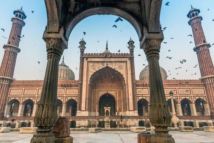 Golden Triangle with Ranthambore: 8-Day Delhi–Agra–Jaipur Tiger Safari photo 2