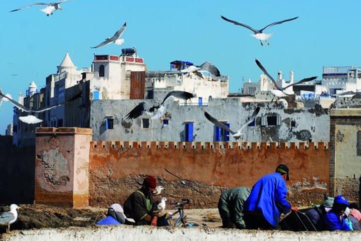 Essaouira Day Trip from Marrakech: Shared Small-Group Tour to the Atlantic Medina photo 2