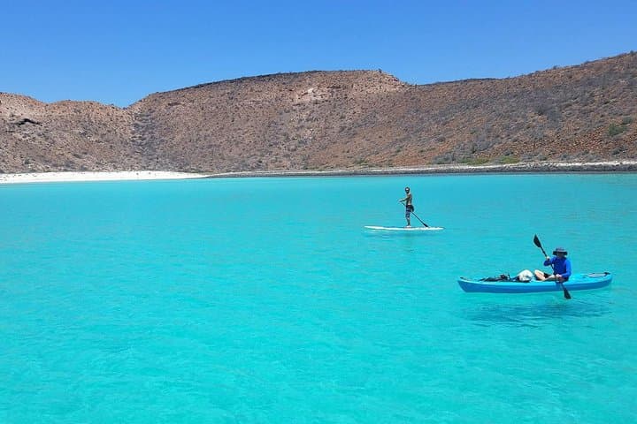 All-Inclusive Catamaran to Remote Beaches & Sea Lion Snorkel from Los Cabos photo 4