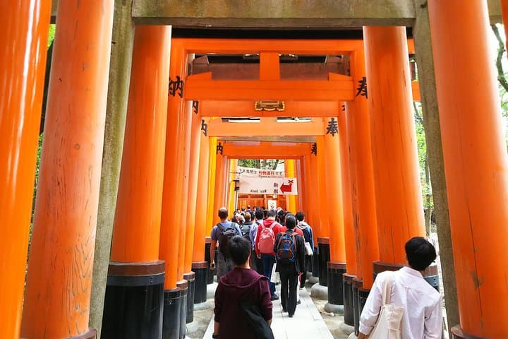 Early-Riser Kyoto Platinum Walking Tour: Beat the Crowds at Fushimi Inari & Arashiyama