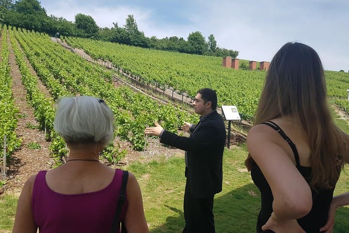 Champagne Cellar Circuit: Moët & Chandon, De Castellane & Mercier Day Tour in Epernay photo 2