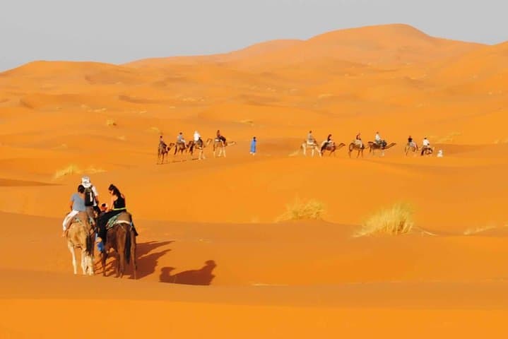 Camel Rock Desert Safari: Dune Bashing, Sandboarding & BBQ in Dubai photo 4