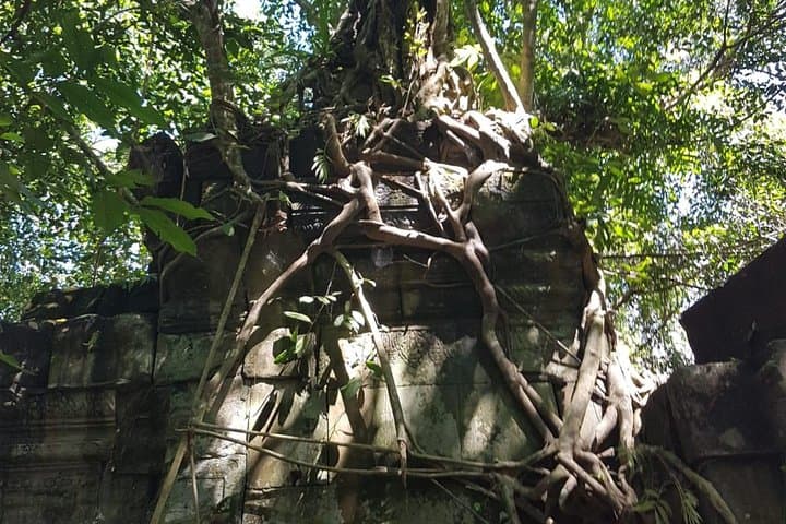 Koh Ker and Beng Mealea: Jungle Pyramid Day Trip from Siem Reap photo 5