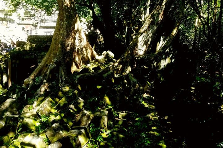 Koh Ker and Beng Mealea: Jungle Pyramid Day Trip from Siem Reap photo 6