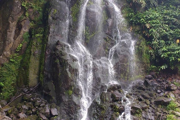 Nordeste & Povoação Full-Day Van Tour (São Miguel, Azores) — Lunch Included photo 3
