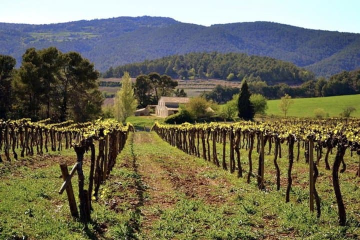 Montserrat Private Tour from Barcelona: Monastery, Organic Winery & Local Lunch photo 5