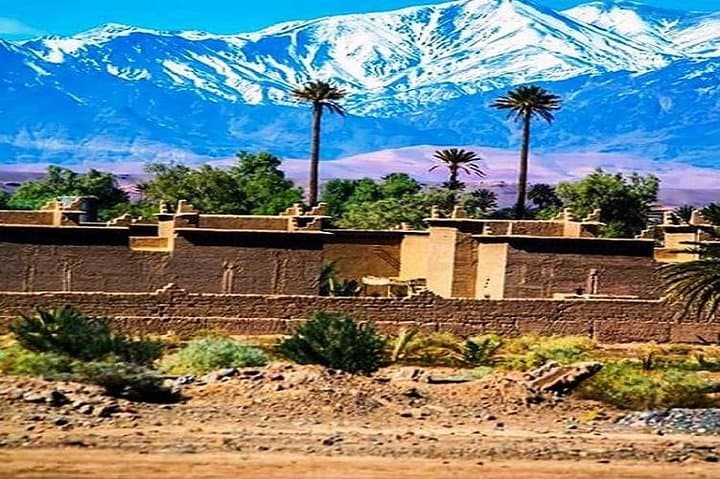 Marrakech City Highlights: Full-Day Medina, Palmeraie & Camel Ride photo 6