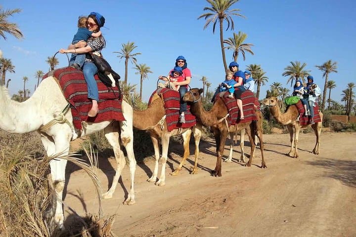 Palmeraie Camel Ride in Marrakech: Palm-Grove Tour with Tea Break photo 2