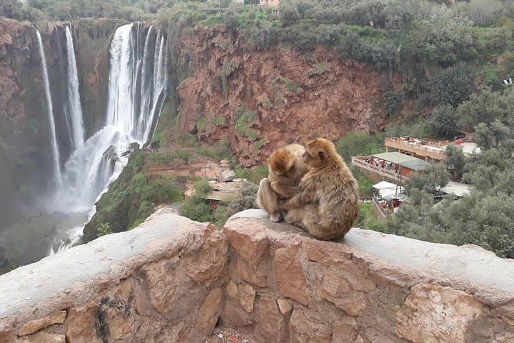 Full-Day Trip to Ouzoud Waterfalls from Marrakech: Hike, Views & Berber Villages photo 6