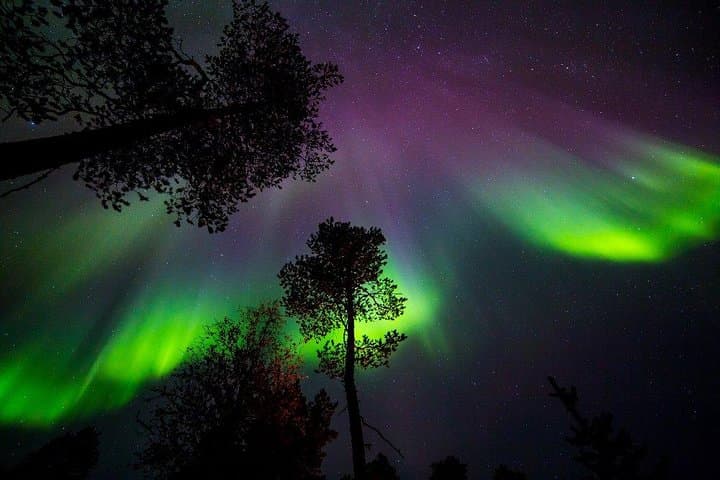 Reindeer Farm Dinner and Northern Lights Hunt Near Rovaniemi photo 3