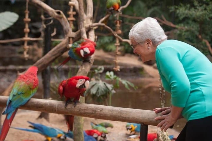 Explore Iguassu Falls & Parque das Aves: Brazilian-Side Private Tour from Puerto Iguazú photo 2