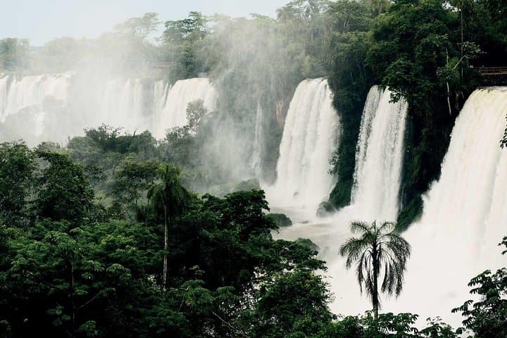 Up-Close on the Argentine Side: Iguassu Falls Private Tour photo 5