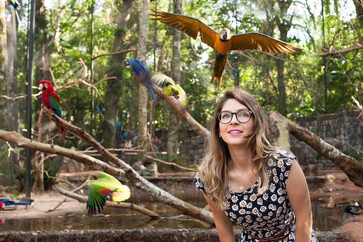 Explore Iguassu Falls & Parque das Aves: Brazilian-Side Private Tour from Puerto Iguazú