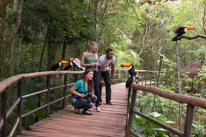 Explore Iguassu Falls & Parque das Aves: Brazilian-Side Private Tour from Puerto Iguazú photo 5