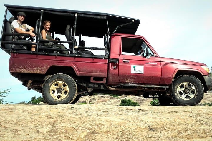 Private Full-Day Safari in Yala National Park — Leopard-Focused 12-Hour Jeep Experience photo 2