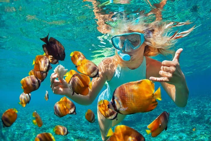 Sosua Catamaran Snorkel: All-Inclusive Day Sail to Vibrant Reefs photo 3