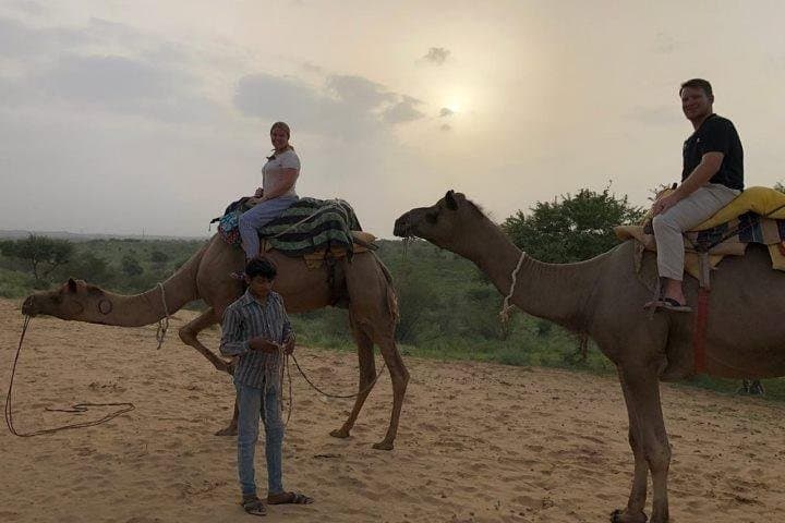 Sunset Camel Safari at Sam Sand Dunes — Half-Day from Jaisalmer