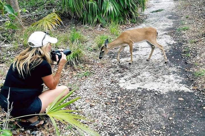 Exploring the Florida Keys: A Full-Day Road Trip from Key West with Aquarium Encounters