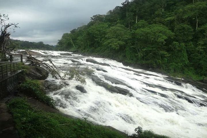 Athirapilly and Vazhachal Falls Day Trip from Kochi photo 2
