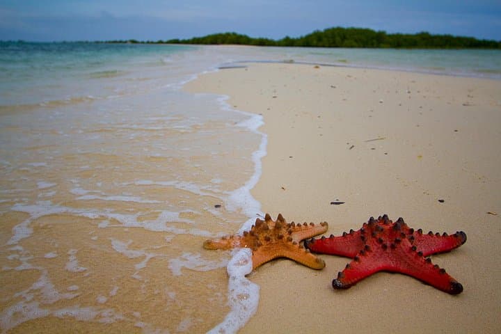 Honda Bay Island Hopping from Puerto Princesa — Luli, Cowrie & Starfish Islands photo 2