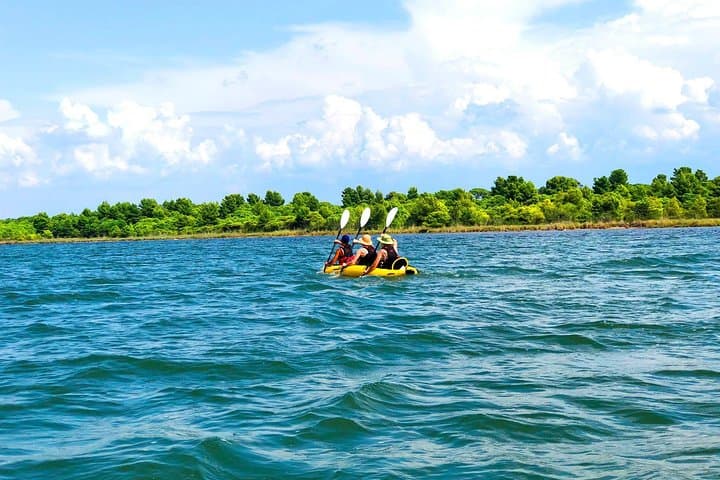 Kayak and Birdwatching at Divjaka-Karavasta National Park, Albania