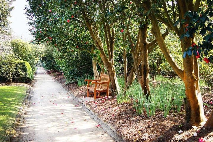 Experience Middleton Place: Historic Charleston Plantation, Gardens & Low Country Lunch photo 3
