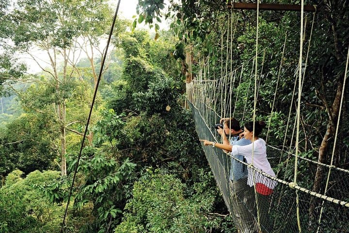 Taman Negara Day Trip from Kuala Lumpur: Canopy Walk, Orang Asli Encounters & River Ride photo 3