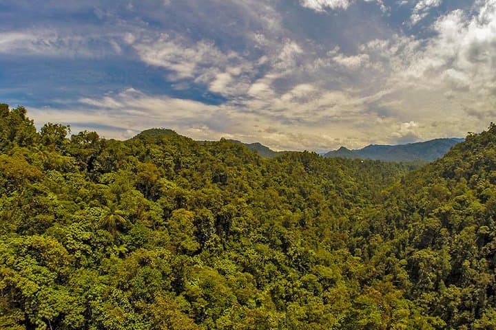 Mindo Cloud Forest Private Day Tour: Hikes, Waterfalls & Hummingbirds from Quito photo 4